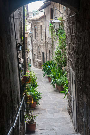 Viterbo (Lazio, Italy): typical old street in the medieval townのeditorial素材