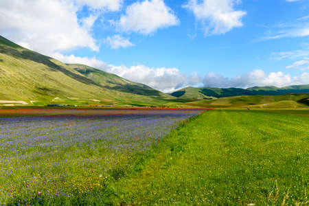 Piano Grande di Castelluccio (Perugia, Umbria, Italy), famous plateau in the natural park of Monti Sibilliniの写真素材