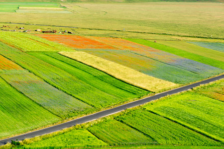 Piano Grande di Castelluccio (Perugia, Umbria, Italy), famous plateau in the natural park of Monti...