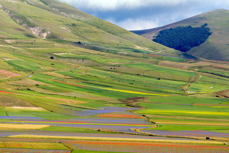 Piano Grande di Castelluccio (Perugia, Umbria, Italy), famous plateau in the natural park of Monti Sibilliniの写真素材