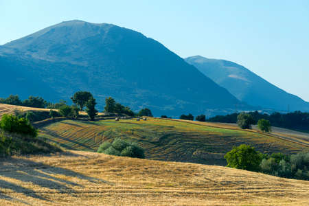 Summer landscape  near Camerino, Italyの写真素材