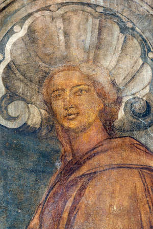 Tolentino (Macerata, Marches, Italy): the cloister of the historic San Nicola church: frescoの写真素材