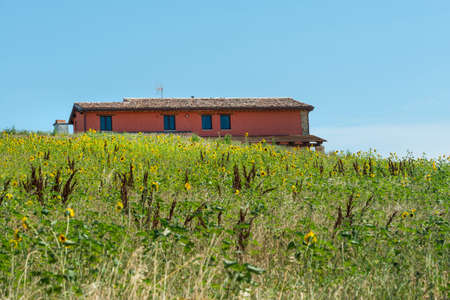 Landscape near Tolentino (Macerata, Marches, Italy) at summerのeditorial素材