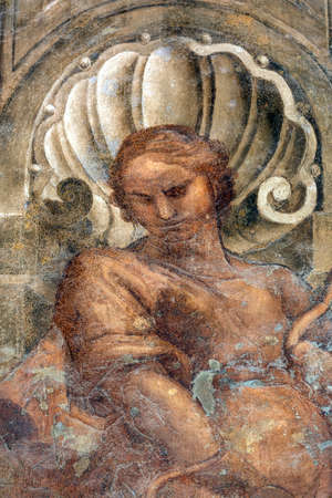 Tolentino (Macerata, Marches, Italy): the cloister of the historic San Nicola church: frescoのeditorial素材