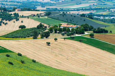 Landscape near Macerata (Marches, Italy) at summerの写真素材
