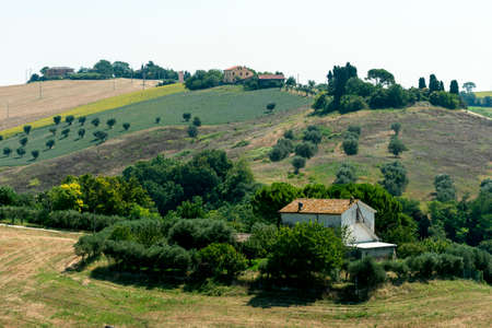 Landscape near Macerata (Marches, Italy) at summerのeditorial素材