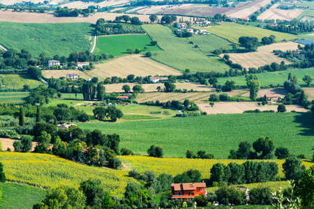 Country landscape from Osimo (Ancona, Marches, italy) at summer
