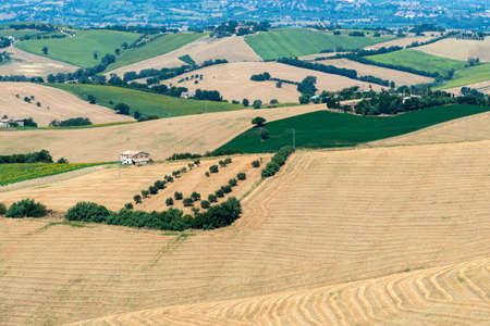 Country landscape between Osimo and Jesi (Ancona, Marches, italy) at summerの写真素材