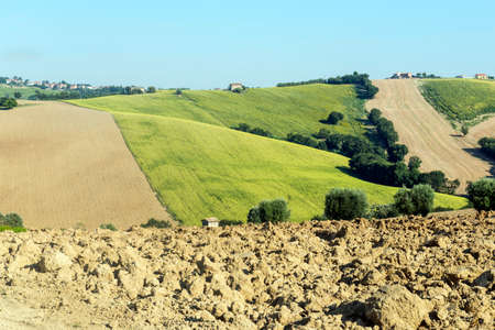 Country landscape between Jesi and Ostra (Ancona, Marches, Italy) at summerの写真素材
