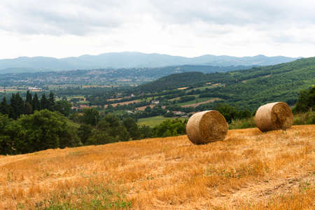 Along the road of Passo di Viamaggio, in the Appennino Tosco-Emiliano (Tuscany - Emilia Romagna): mountain landscape at summerの写真素材