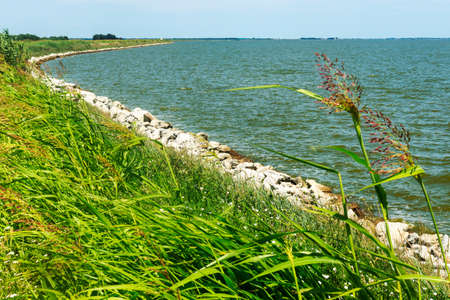 Valli di Comacchio (Ravenna - Ferrara, Emilia-Romagna, Italy). Ponds at summerの写真素材