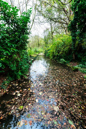 Fall at Monza Park (Brianza, Lombardy, Italy). Water and leavesの写真素材