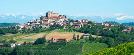 Summer landscape in Langhe (Piedmont, Italy), with vineyards, at Grinzane Cavourの写真素材
