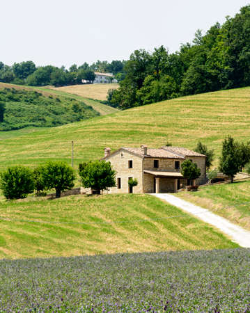 Country landscape between Cagli and Pergola (Pesaro e Urbino, Marches, Italy) at summer