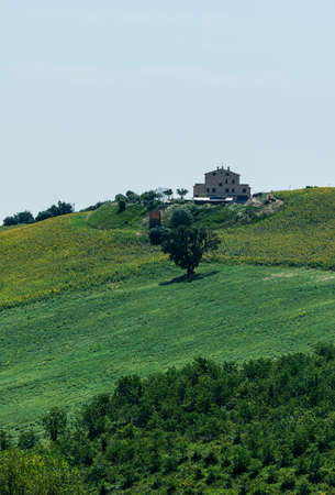 Landscape near Macerata (Marches, Italy) at summerの写真素材