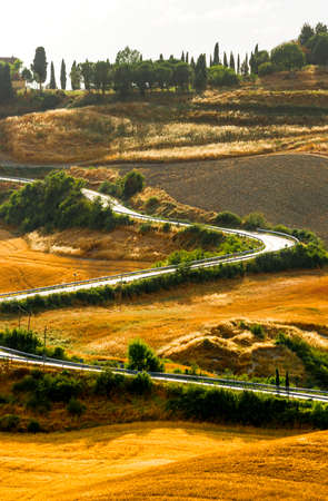 Crete senesi, characteristic landscape in Val d'Orcia (Siena, Tuscany, Italy), at summer.の写真素材