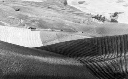 Between Puglia and Basilicata (Italy): Country landscape at summerの写真素材