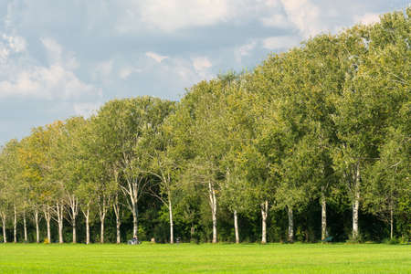 Milan (Lombardy, Italy): the park known as Parco Nord, at late summer