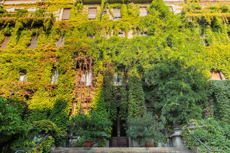 Historic residential palace in Milan (Lombardy, Italy) with plantsのeditorial素材