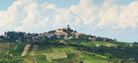 Summer landscape in Oltrepo Pavese (Pavia, Lombardy, Italy) at summer (August) with vineyardsの写真素材