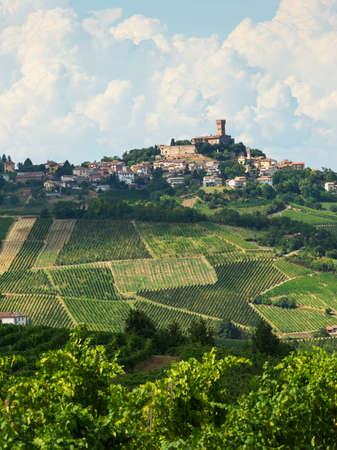 Summer landscape in Oltrepo Pavese (Pavia, Lombardy, Italy) at summer (August) with vineyardsの写真素材