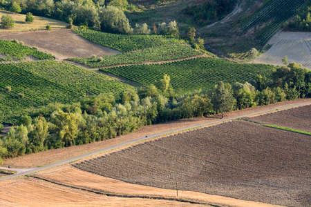 Summer landscape in Oltrepo Pavese (Pavia, Lombardy, Italy) at summer (August) with vineyardsの写真素材