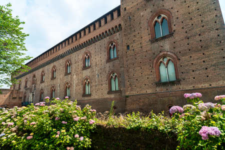Pavia (Lombardy, Italy): the medieval castle known as Castello Visconteo and hydrangeasのeditorial素材
