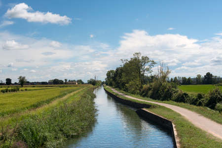 Naviglio of Bereguardo, a long canal from Abbiategrasso (Milan) to Bereguardo (Pavia, Lombardy, Italy)., with lane for bicycles and pedestrians. Rural landscape at summerの写真素材