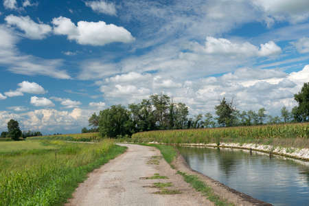 Naviglio of Bereguardo, a long canal from Abbiategrasso (Milan) to Bereguardo (Pavia, Lombardy, Italy)., with lane for bicycles and pedestrians. Rural landscape at summerの写真素材