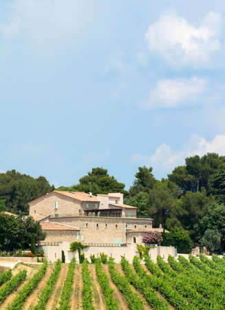 Farm with vineyard in Herault, Languedoc-Roussillon, France, at spring (june)の写真素材