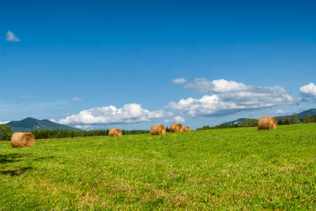 Rural landscape in the countryside of Midi-Pyrenees (France) at summer