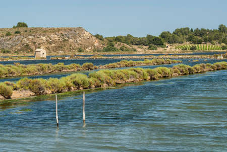 Peyriac-de-Mer (Languedoc-Roussillon, France), the pond and the wooden boardwalksの写真素材