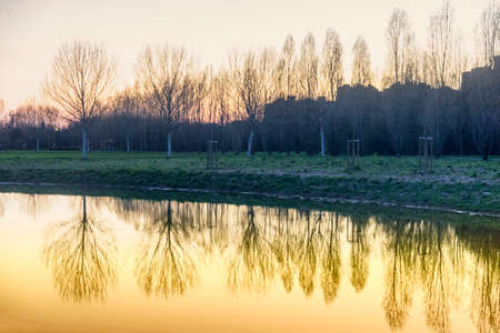 Parco Nord in Milan (Lombardy, Italy) at evening. Reflection in the lake