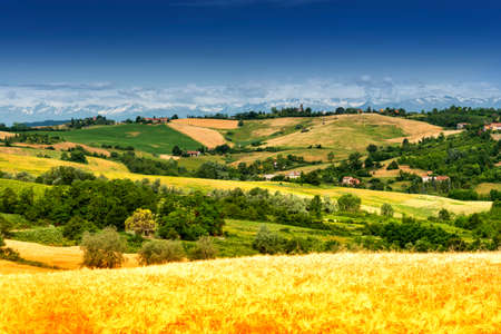 Country landscape of Monferrato (Asti, Piedmont, Italy) at summer, with the Alps in backgroundの写真素材