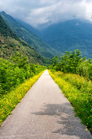 The path for pedestrian anc bicycle known as Sentiero Valtellina near Colico (Lecco, Lombardy, Italy) at summerの写真素材