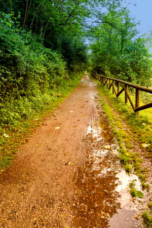 Cycling path along the Olona river in Lombardy (Italy) at summer