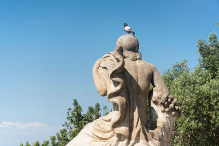 Barcelona (Catalunya, Spain): the hill of Montjuich and the Museum of Catalan Art. Statue with pigeonのeditorial素材