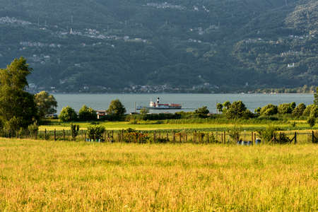 Colico (Lecco, Lombardy, Italy) and the lake of Como (Lario) at summerの写真素材