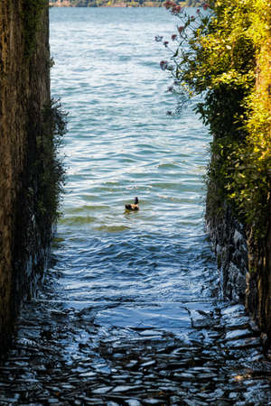 Torno (Como, Lombardy, Italy), old typical village along the Lario lake.の写真素材