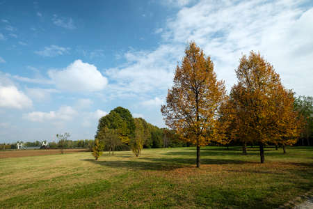 Grugnotorto park (Brianza, Lombardy, Italy): in octoberの写真素材