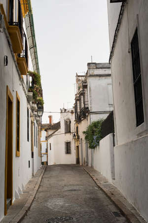 Cordoba (Andalucia, Spain): old typical street in the Juderiaの写真素材