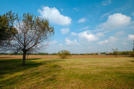 Grugnotorto park (Brianza, Lombardy, Italy): in october