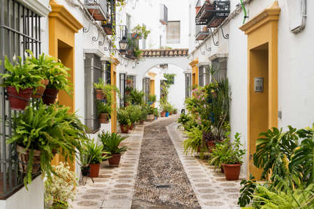 Cordoba (Andalucia, Spain): old typical street in the Juderia with plants and flowersの写真素材