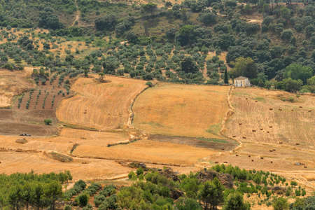 Summer landscape seen from Ronda (Andalucia, Spain)