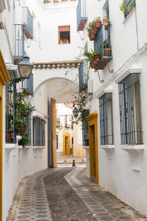 Cordoba (Andalucia, Spain): old typical street in the Juderia with plants and flowersの写真素材