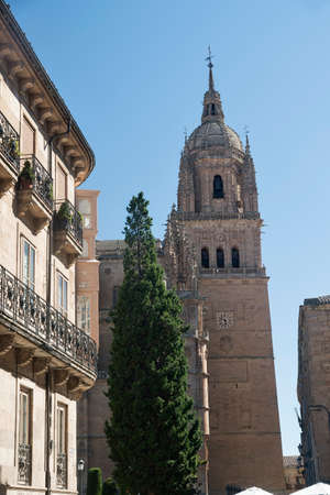 Salamanca (Castilla y Leon, Spain): exterior of the medieval cathedralの写真素材