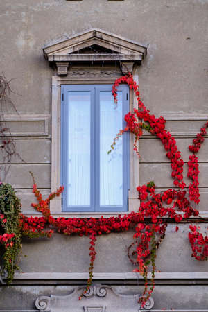 Milan (Lombardy, Italy): old typical window with plant at Citylifeの写真素材