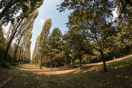 Milan (Lombardy, Italy): paths in the park known as Parco Nord in octoberの写真素材