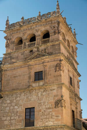 Salamanca (Castilla y Leon, Spain): a tower of the historic building known as Palacio de Monterreyの写真素材