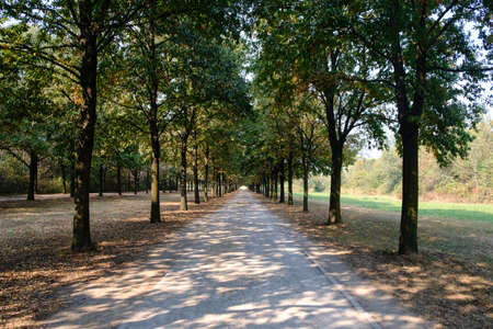 Milan (Lombardy, Italy): paths in the park known as Parco Nord in octoberの写真素材